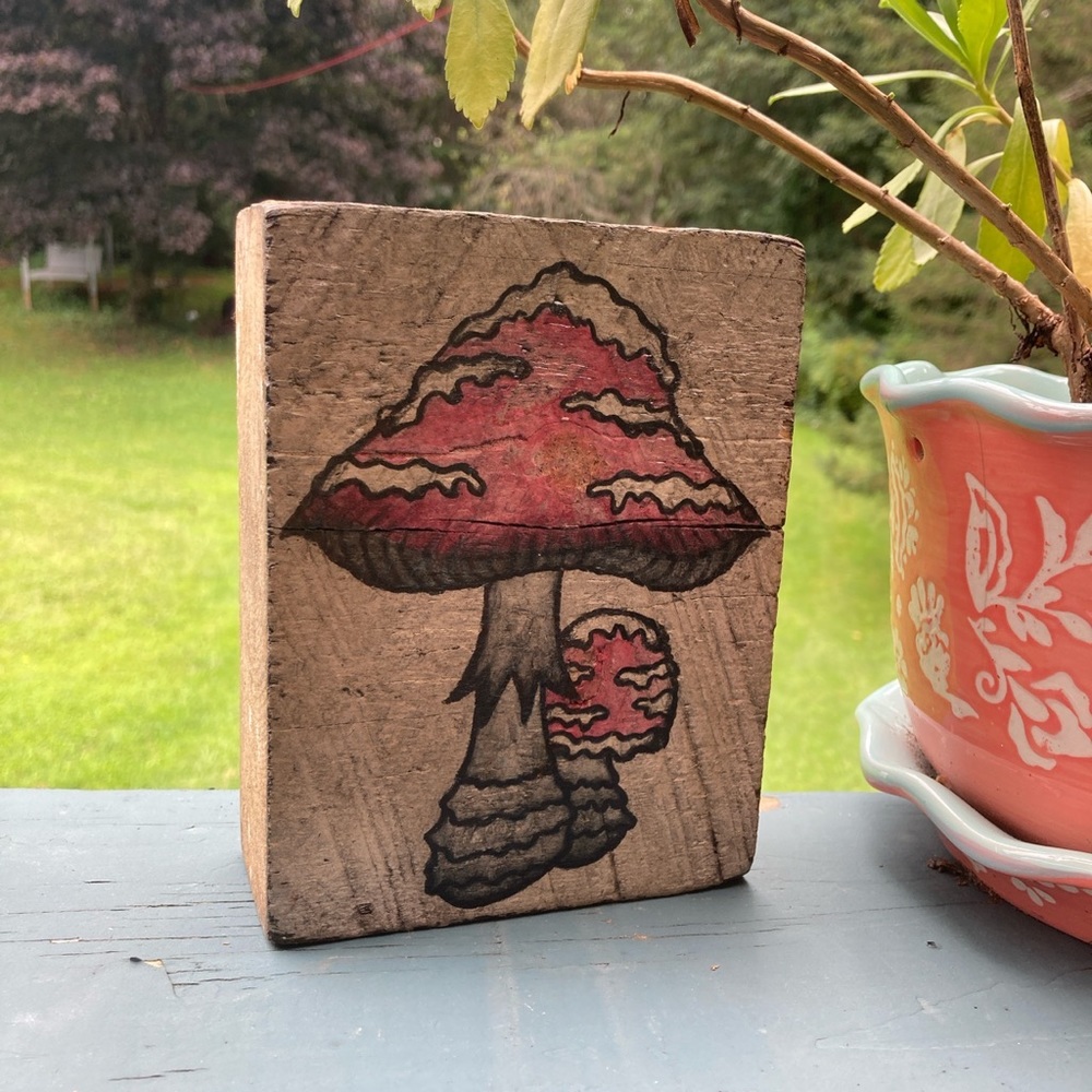 Hand painted mushroom block